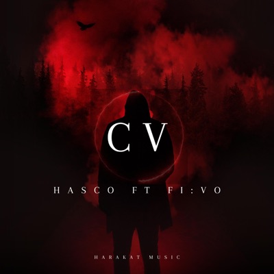 CV (feat. FI:VO & BAWS) - Single