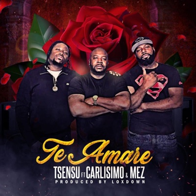 TE AMARE (feat. CARLISIMO & MEZ) - Single