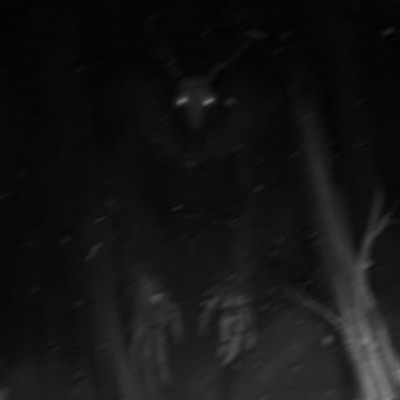 Let Them Know - Single