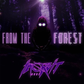 From the Forest In Orbit Dubz