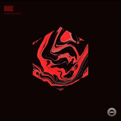 Cycle of Life - Single