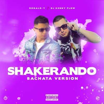 Shakerando (Bachata Remix) - Single