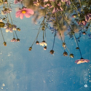 Currently Done - EP