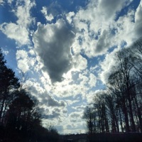 Up - Single - The Natives