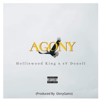 Agony (feat. sV Donell) - Single - Holliewood King
