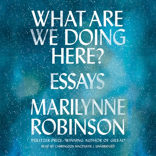 What Are We Doing Here?: Essays cover