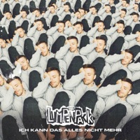 Ich kann das alles nicht mehr - Single - Das Lumpenpack
