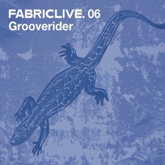 Fabriclive 06 (DJ Mix)