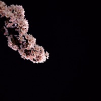 MAMACITA (feat. RVW Gosha) - Single - GXSHA