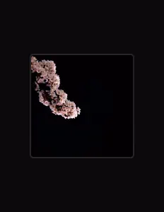 Ouça GXSHA, assista a videoclipes, leia a biografia, veja as datas das turnês e mais!