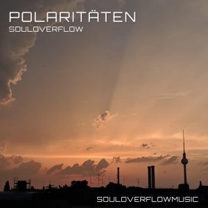 Polaritäten