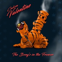 The Bong's in the Freezer - Calvin Valentine
