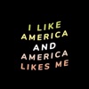 I Like America and America Likes Me - Single