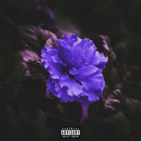 Vertrauen - Single - DYM