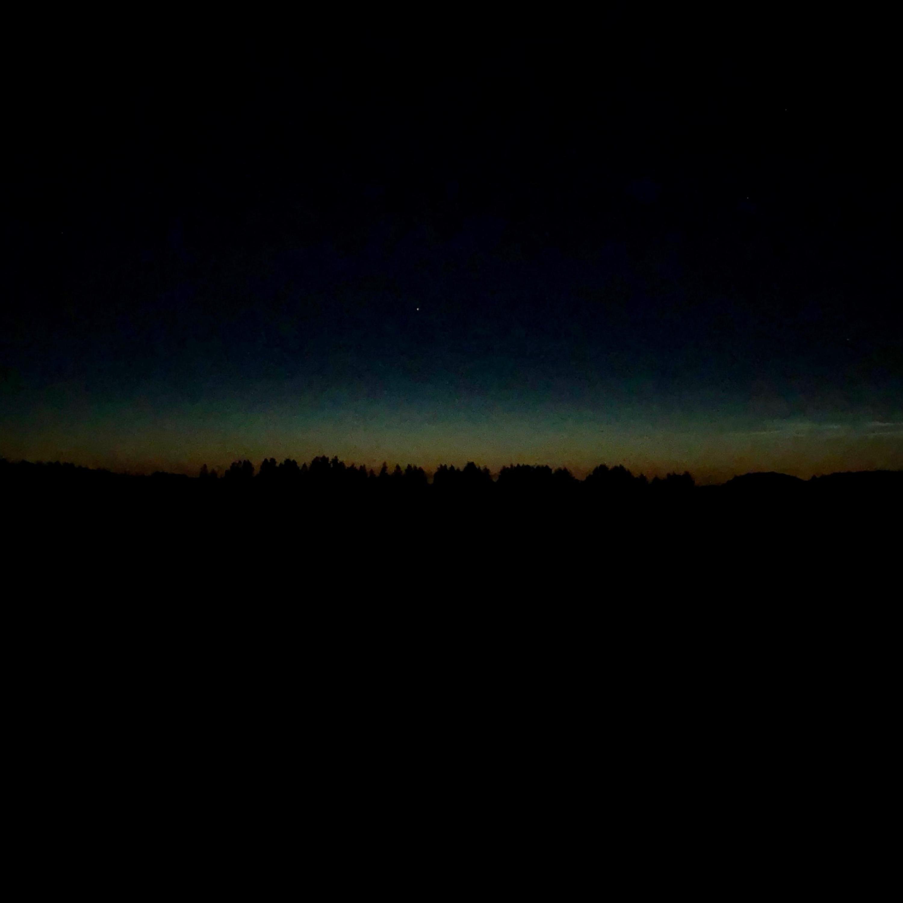 Unknown - Palestine allow the jews