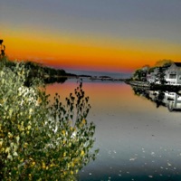 Fell For You - Single - Blospar