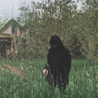 Momentary - Single - Days to Waste