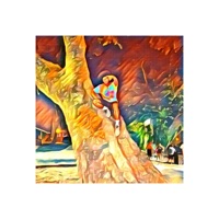 Where You Are - Single - Apollo Cosmo