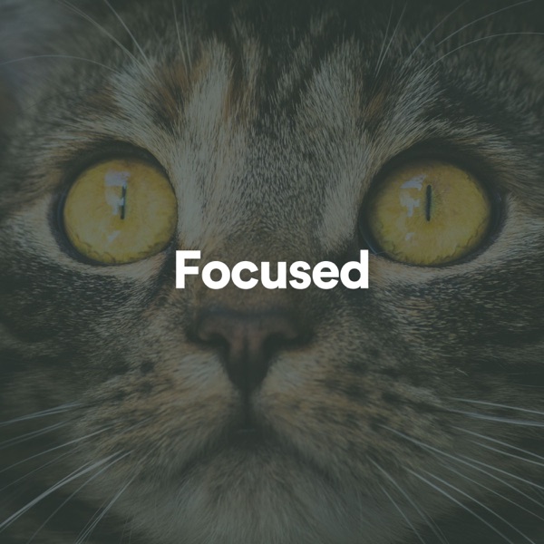 Focused