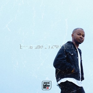 Because I Love You - Single