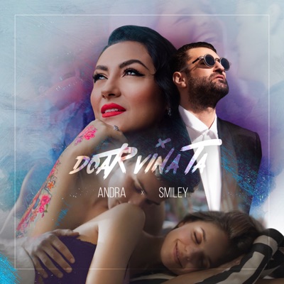 Song - Doar vina ta - Andra & Smiley
