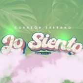 Lo Siento (En Vivo) artwork