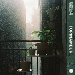 Topinambur - EP