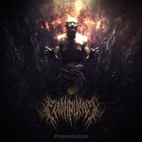 Possession (feat. Perrywise) - Single - FLESHPUPPET