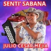 Julio Cesar Mejía - La Vieja Casona