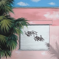 Light Vibe (feat. DJ ПЛАЩ, Kick a Dope Verse! & Eshyo) - Single - Bloodmasta Cut