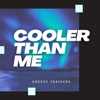 Cooler Than Me - Single