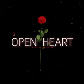 Heart Check (Freestyle) Courtesythebeast