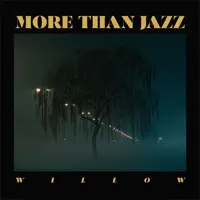 Willow — More than Jazz
