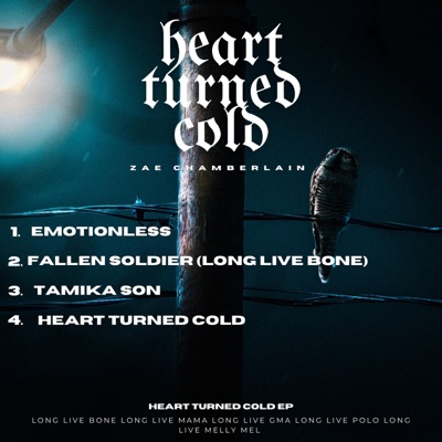 Heart Turned Cold - EP