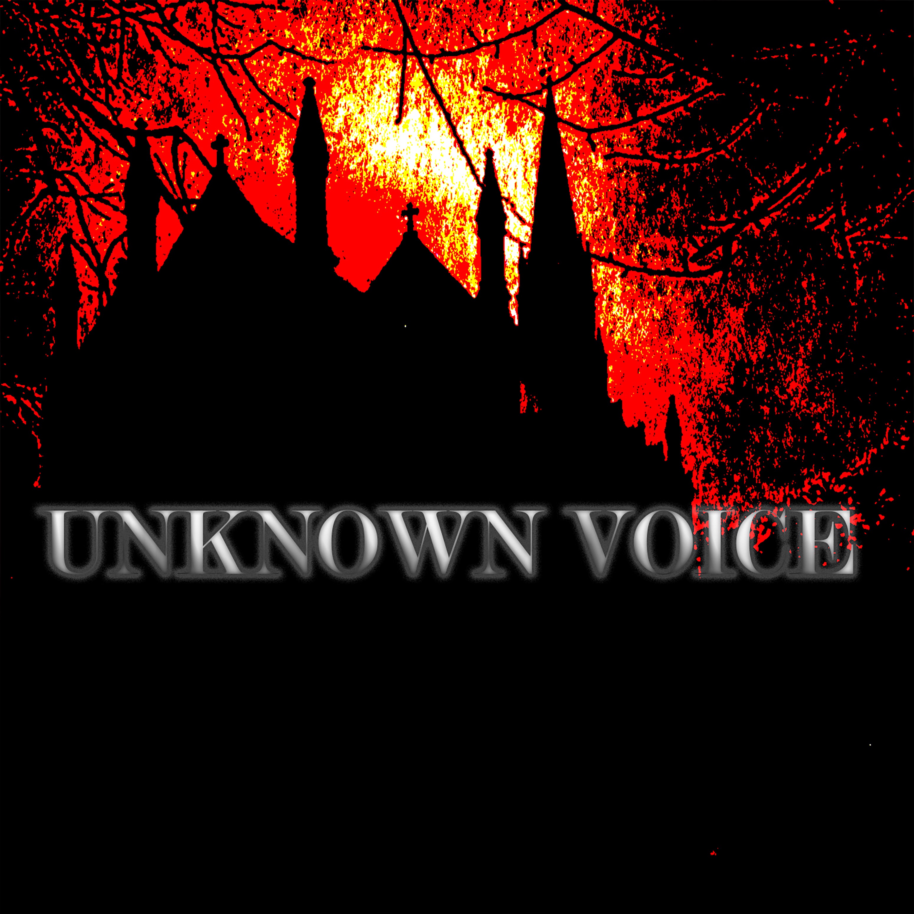 Unknown Voice - Single