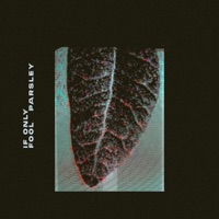 If Only - Single - Fool Parsley