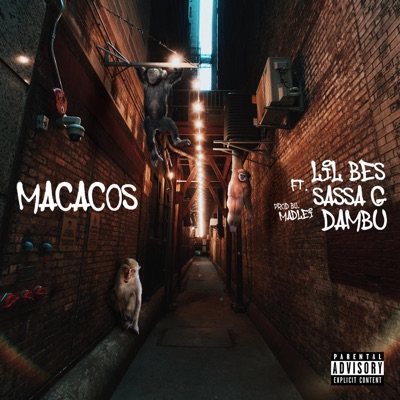 MACACOS (feat. Sassa G & Dambú) - Single