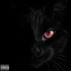 Kara Kedi