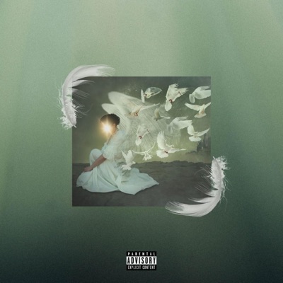 Cradle To the Grave - Single