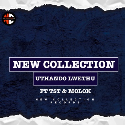 Uthando lwethu (feat. TST MUSIC & MOLOK) - Single