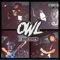 Owl - Owl lyrics