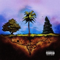 Tropical Herbals - Single - Waterr & Tone Beatz