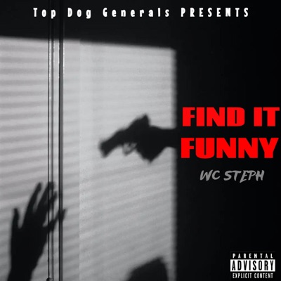 Find It Funny - Single