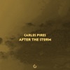 After the Storm - Single