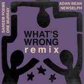 Sareem Poems/Dre Murray/Newselph - What's Wrong (Remix) feat. Adan Bean