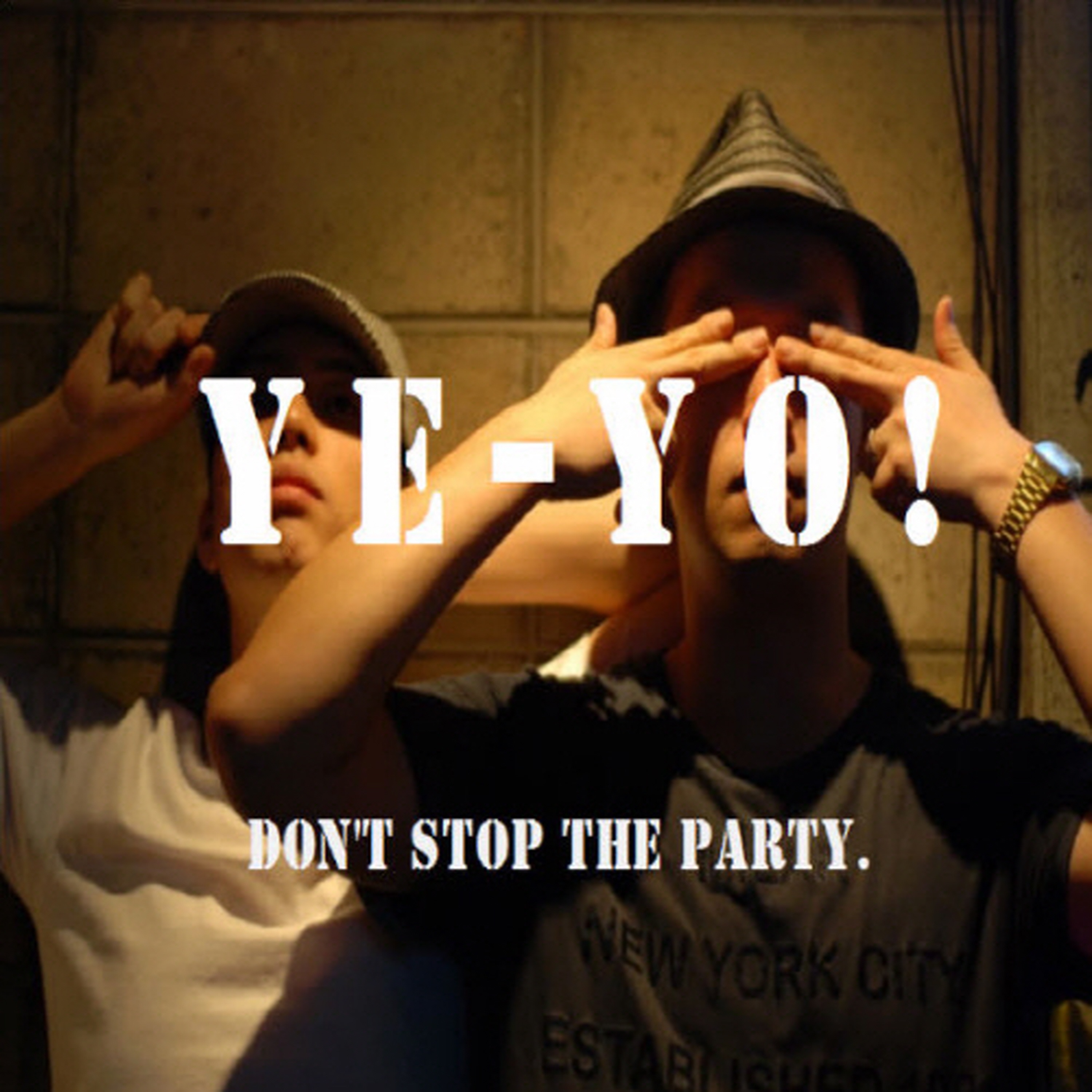 Don't Stop The Party - Single