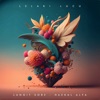 Lelaki Lucu - Single