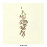 For Tara - Single - Andy Leech