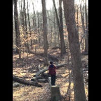 Distrait.Ange*l - Single - kingdr