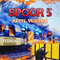 Spoor 5 - Single - Natte Visstick